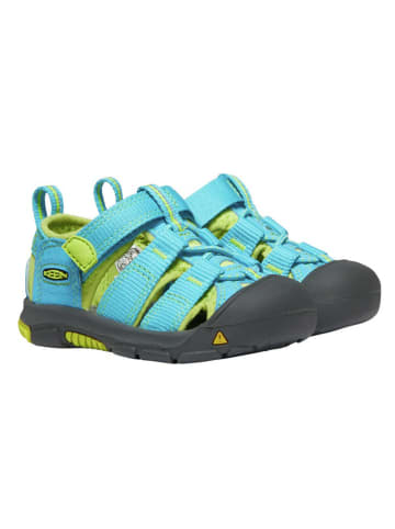 Keen Enkelsandalen "Newport H2" turquoise/groen