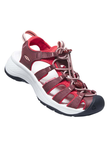Keen Enkelsandalen "Astoria West" rood