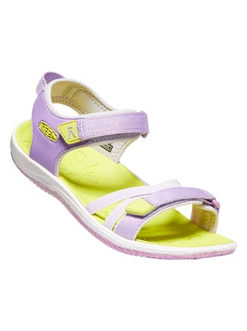 Keen Sandały "Verano" w kolorze lawendowym