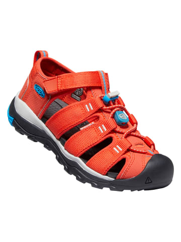 Keen Półsandały "Newport Neo" w kolorze czerwonym