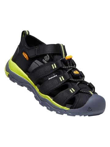 Keen Enkelsandalen "Newport Neo" zwart