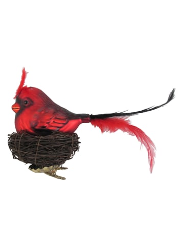 Krebs Glas Lauscha Kerstboomversiering "Vogel" rood - (B)20 cm