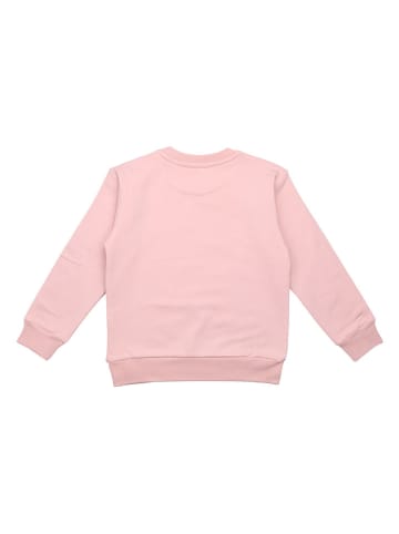 Walkiddy Sweatshirt in Rosa