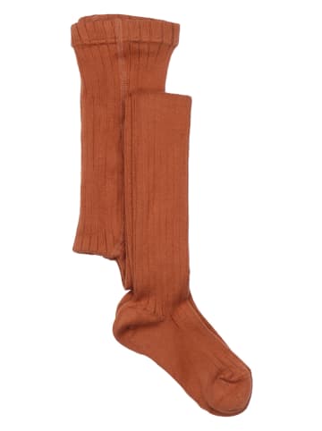 Walkiddy Strumpfhose in Hellbraun
