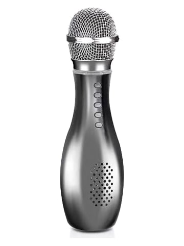 SWEET ACCESS Bluetooth-Lautsprecher-Karaokemikrofon in Grau
