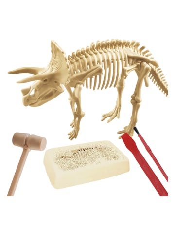 MGM 14-delige creativiteitsset "Paleontologie" - vanaf 6 jaar