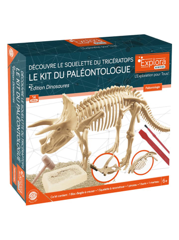 MGM 14-delige creativiteitsset "Paleontologie" - vanaf 6 jaar