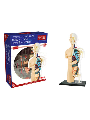 MGM 37-delige bouwset "Anatomie" - vanaf 8 jaar