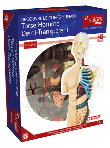 MGM 37tlg. Bausatz "Anatomie" - ab 8 Jahren