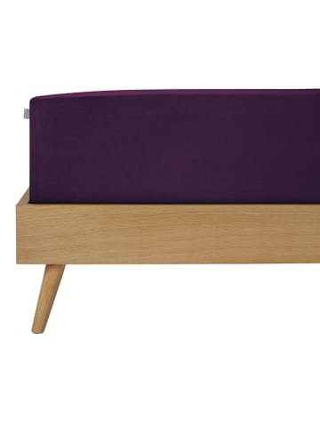 Schiesser Spannbettlaken ''Flexi'' in Lila