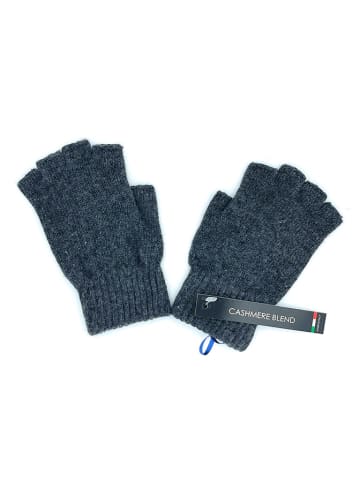Fantasie Terrene Handschuhe in Grau