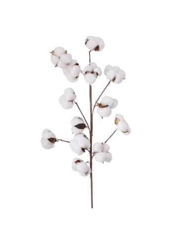 Boltze Dekozweig "Baumwolle" in Weiß - (B)16 x (H)68 cm