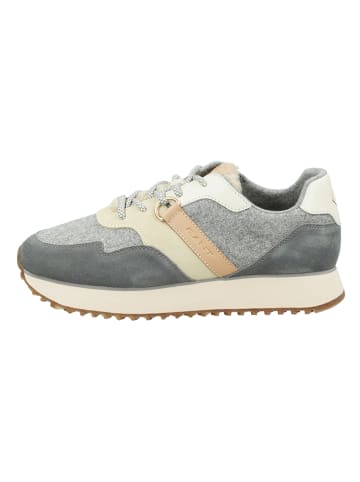 Gant Sneakers "Bevinda" in Grau