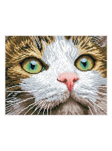 DIAMOND DOTZ Zestaw kreatywny "Green Eyed Beauty - Diamond Dotz®" - 13+