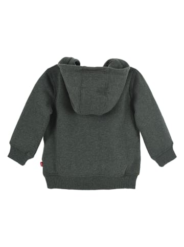 Levi's Kids Hoodie in Grün