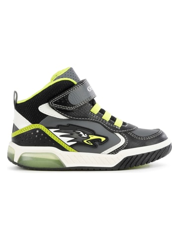 Geox Sneakers "Inek" in Grau/ Limette