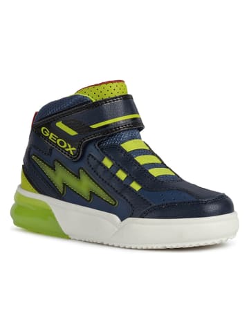 Geox Sneakers "Grayjay" in Dunkelblau/ Limette