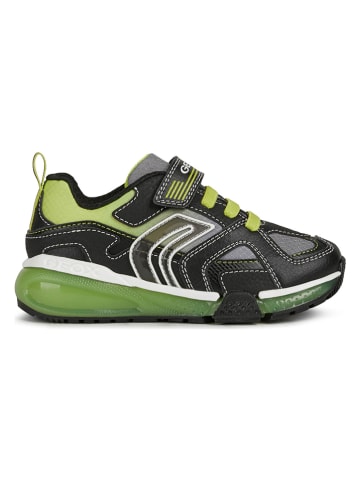 Geox Sneakers "Bayonyc" in Grau/ Limette