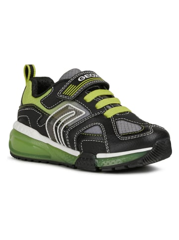 Geox Sneakers "Bayonyc" in Grau/ Limette