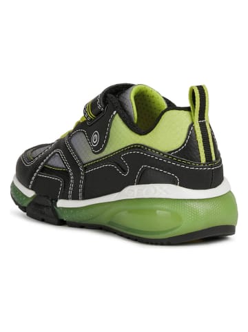 Geox Sneakers "Bayonyc" grijs/limoengroen