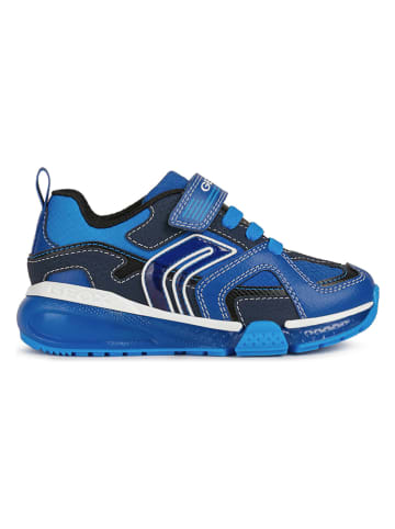 Geox Sneakers "Bayonyc" in Blau