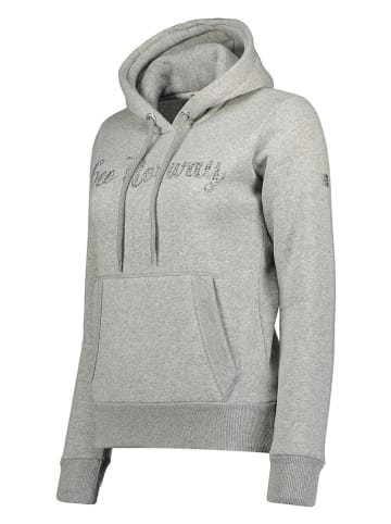 Geographical Norway Hoodie "Gadislava" grijs