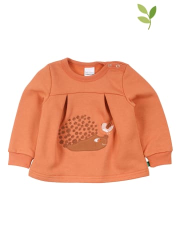 Fred´s World by GREEN COTTON Sweatshirt in Orange