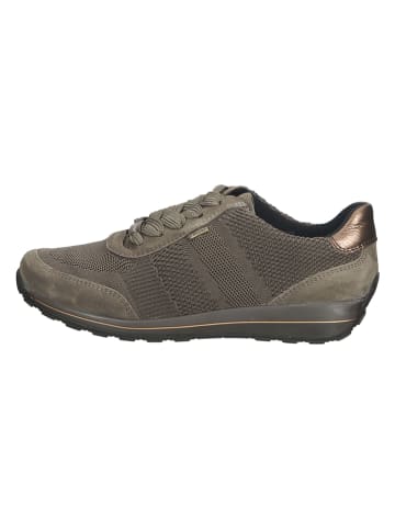 Ara Shoes Sneakers in Khaki