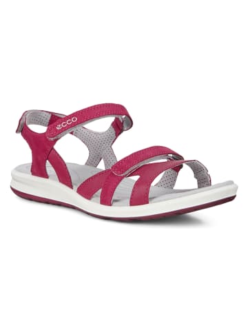 Ecco Leder-Sandalen "Cruise II" in Pink