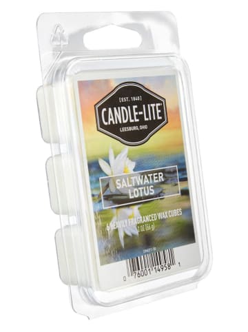 CANDLE-LITE 2er-Set: Duftwachs "Saltwater Lotus" in Weiß - 2x 56 g