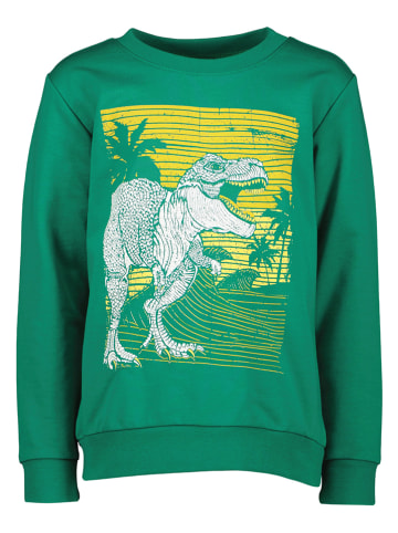 Lamino Sweatshirt in Grün