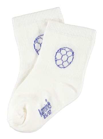lamino 5er-Set: Socken in Bunt