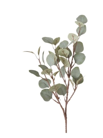 Boltze Dekozweig "Eukalyptus" in Grün - (L)69 cm