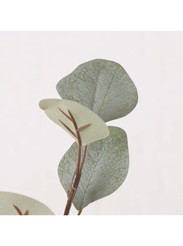 Boltze Dekozweig "Eukalyptus" in Grün - (L)69 cm