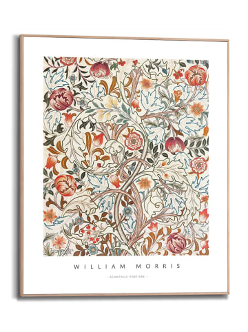 Orangewallz Ingelijste kunstdruk "Acanthus portiere" - (B)40 x (H)50 cm