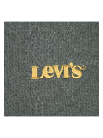 Levi's Kids Sweatshirt in Khaki