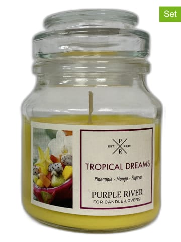 Purple River 2er-Set: Duftkerzen "Tropical Dreams" in Gelb - 2x 113 g