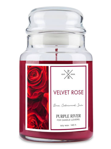 Purple River Duftkerze "Velvet Rose" in Rot - 623 g
