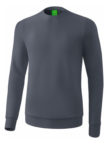 erima Sweatshirt in Grau