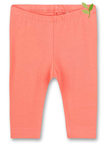 Sanetta Kidswear Leggings in Pink