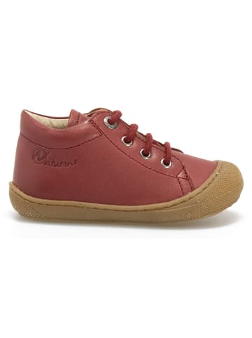 Naturino Leder-Sneakers "Cocoon" in Bordeaux
