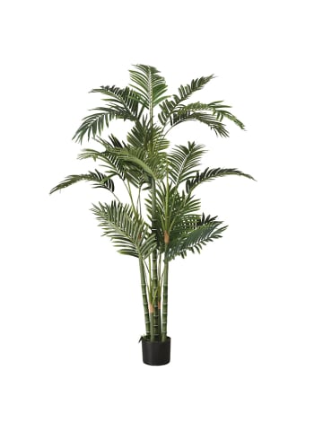 Boltze Kunstplant "Palmboom" groen - (H)165 cm