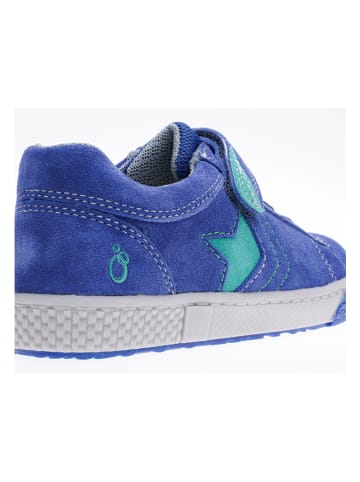 Lamino Leder-Sneakers in Blau