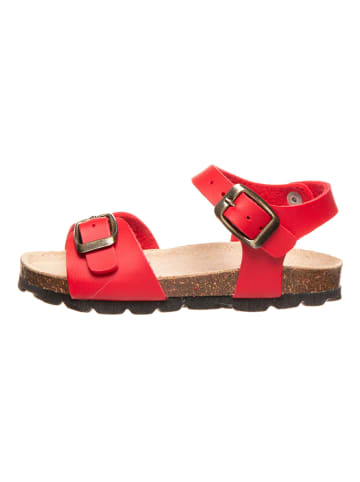 BIO PINGÜIN Sandalen in Rot