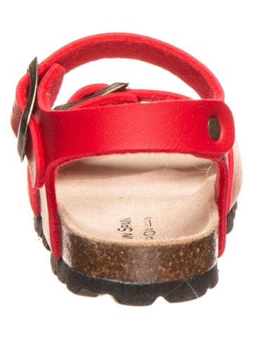 BIO PINGÜIN Sandały w kolorze czerwonym