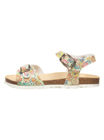 BIO PINGÜIN Sandalen in Bunt