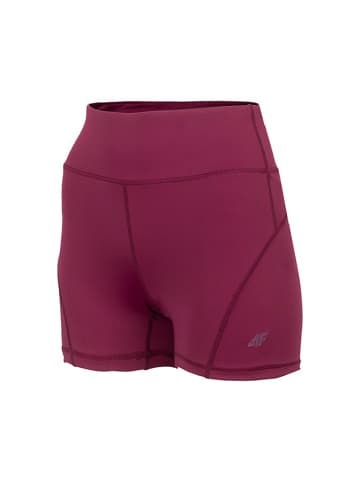 4F Shorts in Bordeaux