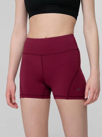 4F Shorts in Bordeaux