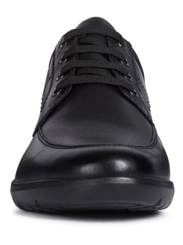Geox Schnürschuhe "Leitan" in Schwarz