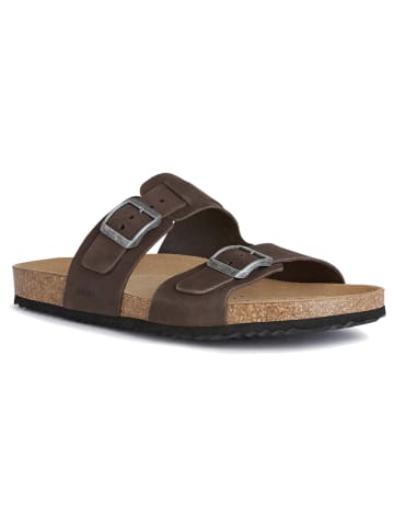Geox Leder-Pantoletten "Ghita" in Braun